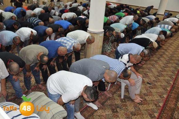 tarawee7 salah 3ajamifeh (21).JPG